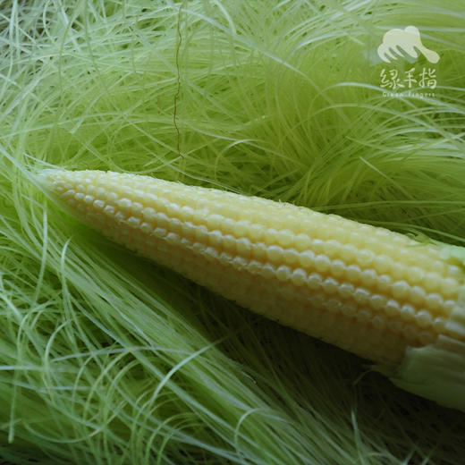 生态玉米笋 | 合作生产*  Ecological baby corn group purchase | Coproducted 商品图1