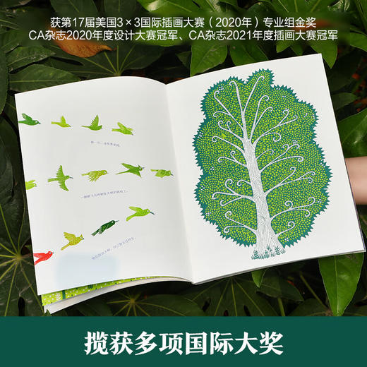 飞鸟与树 平装版 6岁+ 科拉莉·比克福德-史密斯 著 儿童绘本 商品图2