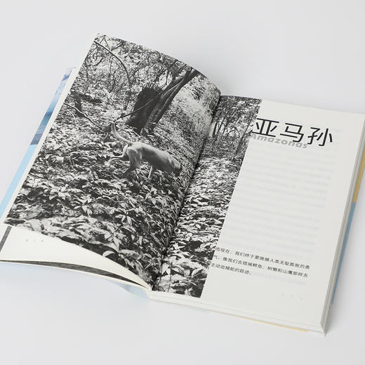 【签名本】《东游西荡》大头马 著  中信出版社（5月16日发货） 商品图5