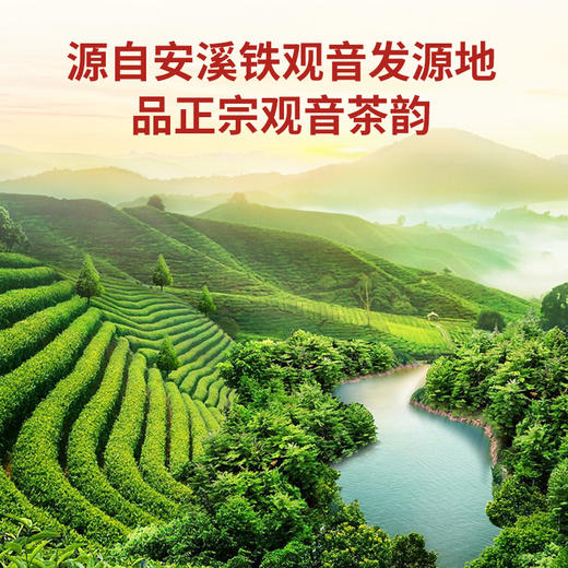 华祥苑-金凤凰清香铁观音分享装 62.52g 商品图3