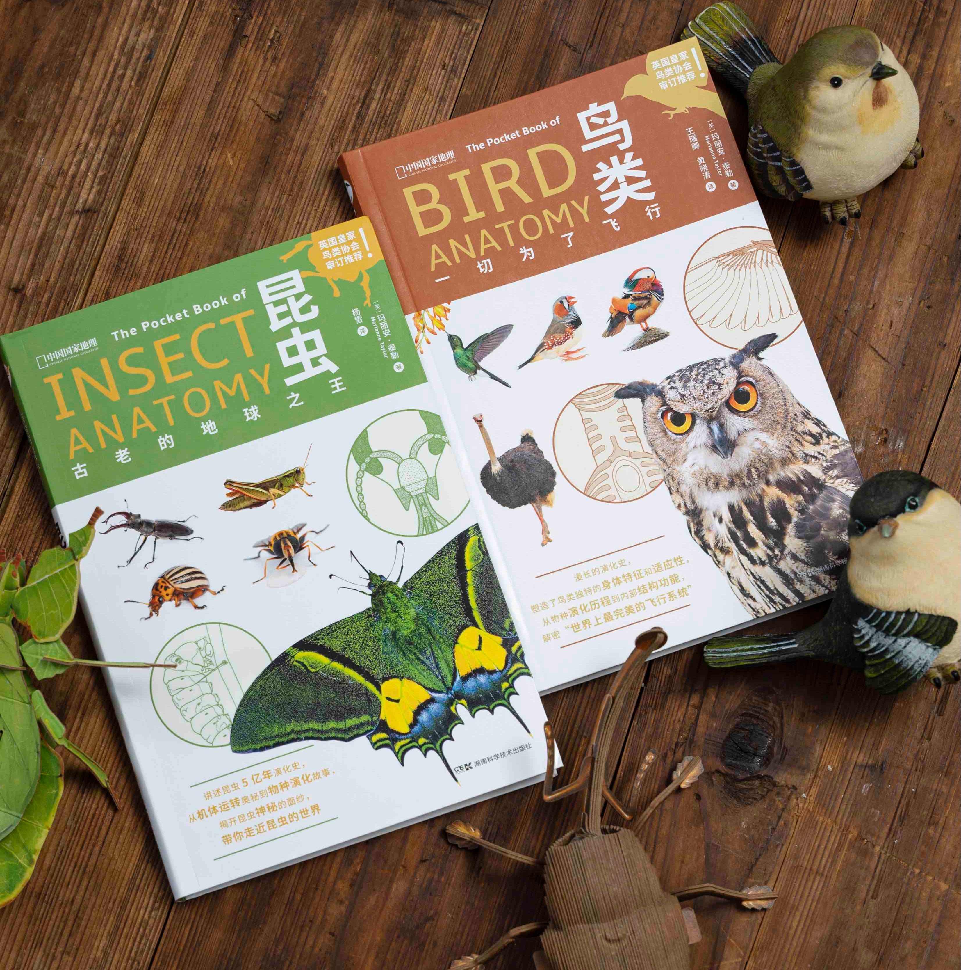 【昆虫+鸟类小百科】中国国家地理出品，通过300余幅照片、手绘图、信息图 回溯亿万年的昆虫演化史 和完美的飞行系统  科普图书