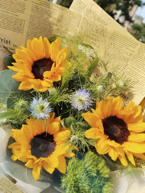 向日葵鲜花束（拼团） 商品图1