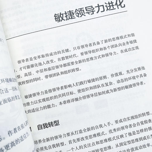 业务敏捷 打造数智时代的高适应力组织 企业业务敏捷转型实用指南 企业变革组织架构变化 敏捷领导力 商品图3