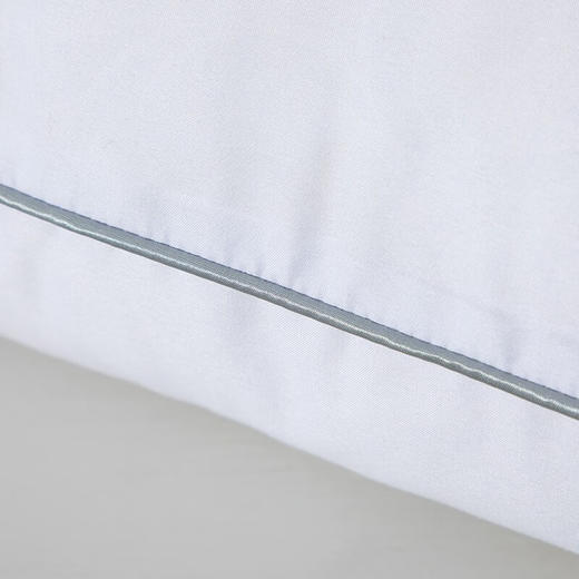 水星家纺  春眠抗菌对枕 商品图2