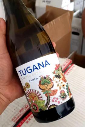 中国区醉佳进口商又到新品啦