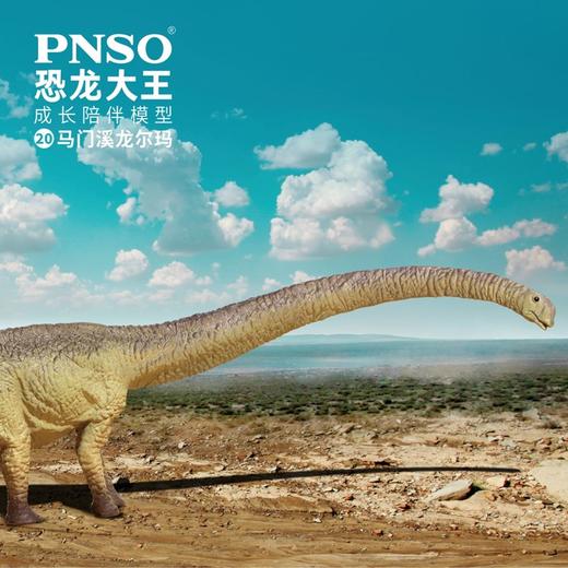 PNSO恐龙大王成长陪伴模型20马门溪龙尔玛 商品图3