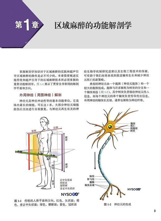 新版 外周神经阻滞与超声介入解剖 第3版李泉超声引导下神经阻滞麻醉临床操作视频3D解剖图像超声图解2二版 北京大学医学出版社 商品图3