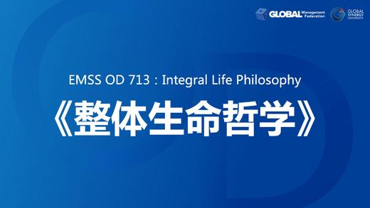 EMSS OD 713：Integral Life Philosophy 05 商品图0