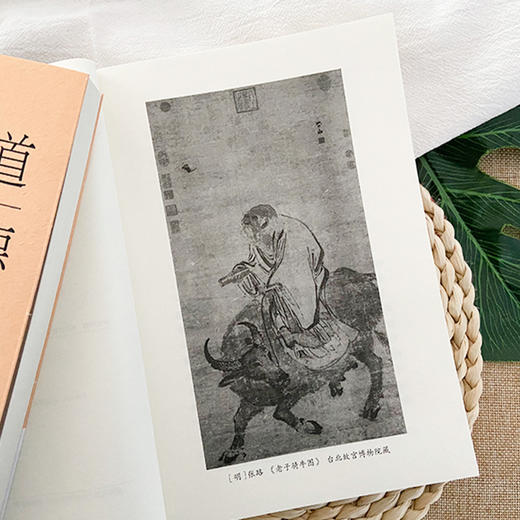 道德经（全本全注全译，中国传统文化经典。另收录《道德经讲义》《道德经注》） 商品图5