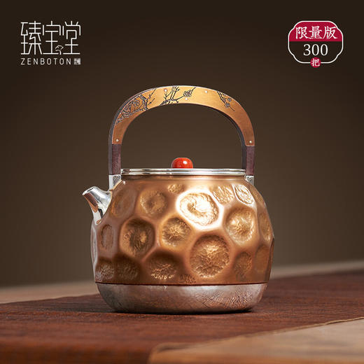 臻宝堂银壶原创铜包银烧水壶纯手工雕刻煮茶壶中式茶具家用送礼养生茶器 流金岁月-傲春 约900ml样品 商品图6
