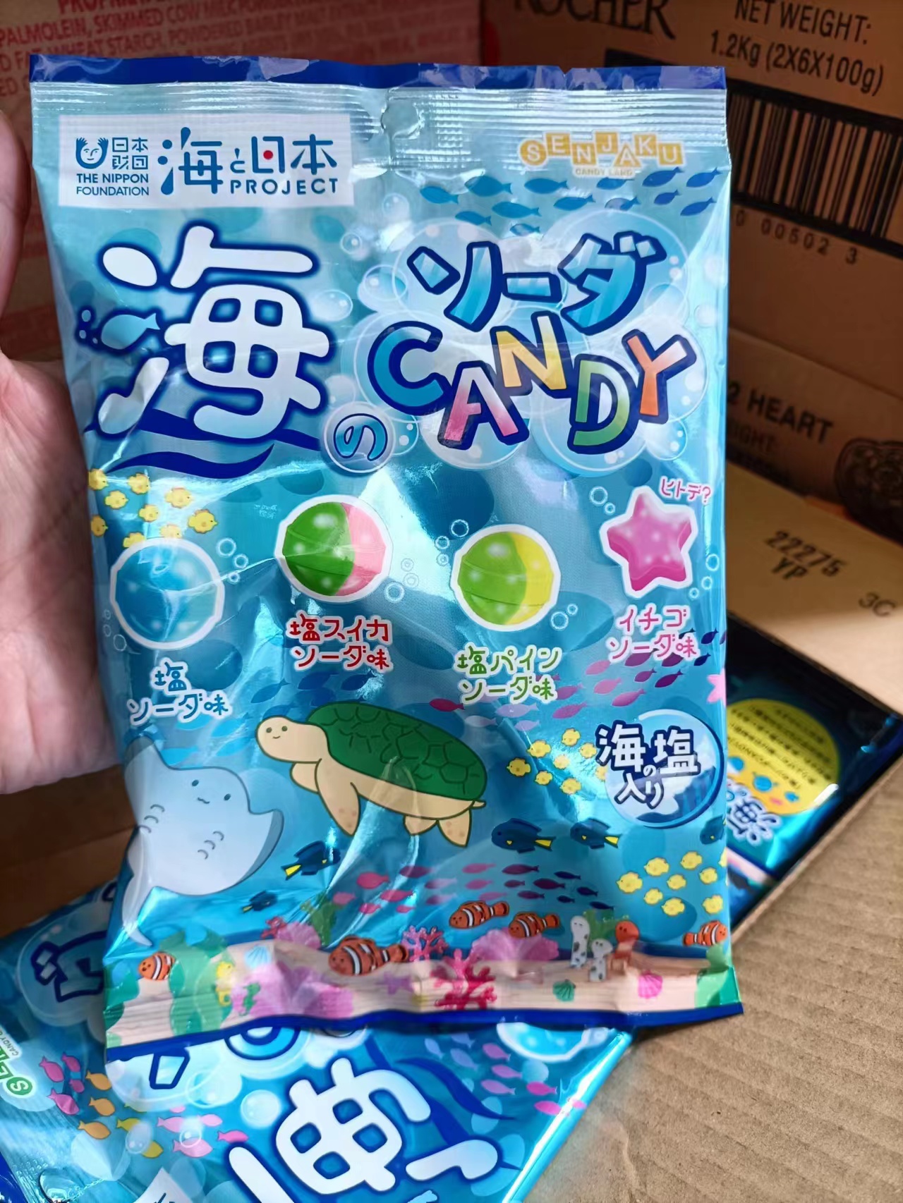 扇雀 海盐什锦水果味糖76g   4901650222759