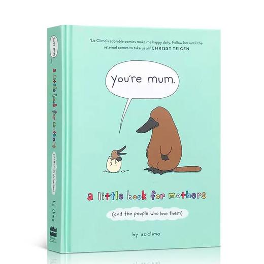 治愈系亲情漫画 You’re Mum A Little Book for Mothers 你是妈妈 英文原版绘本 商品图0
