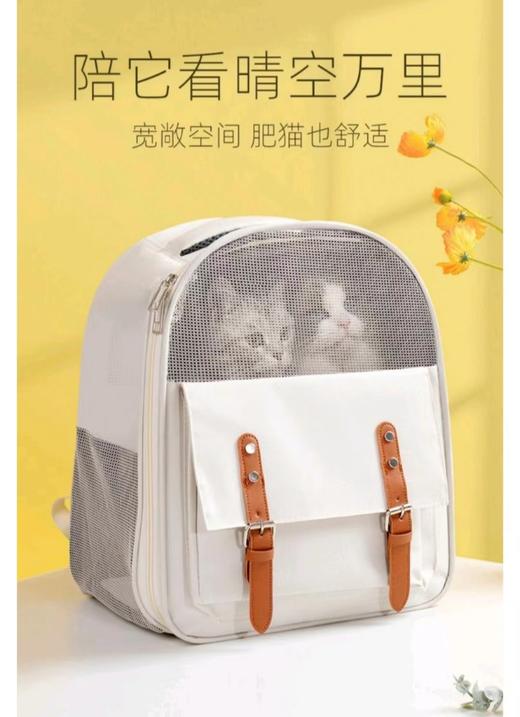【简约珍珠白】猫包外出便携双肩猫咪背包不塌大容量透气帆布太空包/个 商品图1