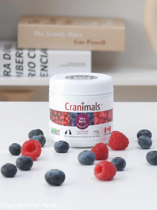 克雷蒙加拿大cranimals蔓越莓粉保护泌尿防尿结石70g 犬猫通用 商品图2