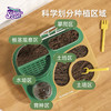 科学罐头植物种植课套装儿童植物生长观察盒幼儿园小学科学小实验套装种菜玩具 商品缩略图2