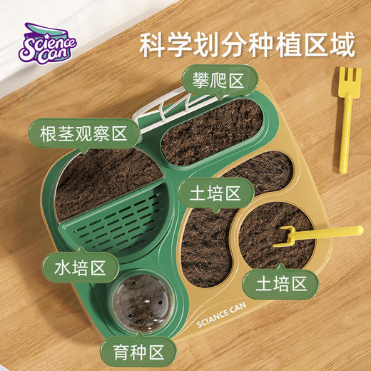 科学罐头植物种植课套装儿童植物生长观察盒幼儿园小学科学小实验套装种菜玩具 商品图2