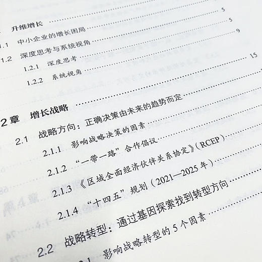 破局盈利 企业如何在逆境中增长 组织管理增长战略 赋能领导力 挖掘人才 拆解苹果小米宝洁百果园等企业管理实战案例 商品图3