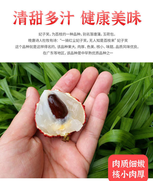 【3斤十堰主城区包邮】新鲜水果 时令尝鲜果香浓郁妃子笑荔枝 2斤/3斤 商品图4