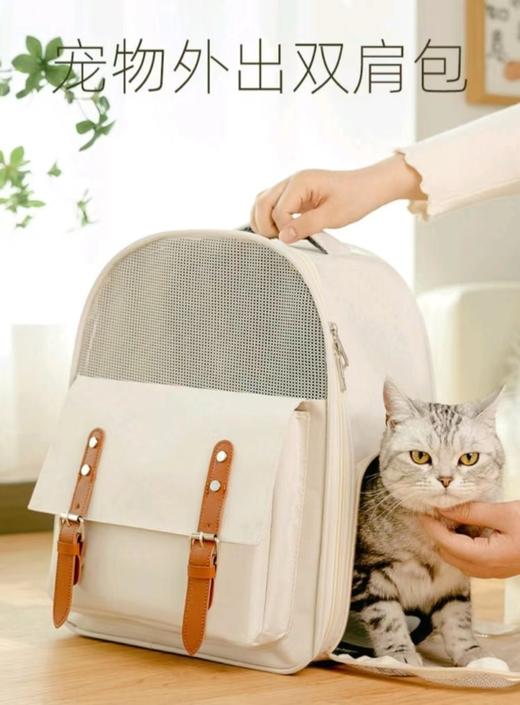【简约珍珠白】猫包外出便携双肩猫咪背包不塌大容量透气帆布太空包/个 商品图2