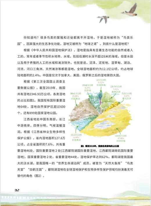 鄱阳湖的奇趣生活978-7-5219-1931-8 商品图3