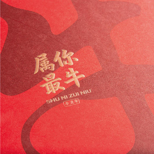 【直送到家】100g属你最牛寿眉小饼 商品图4