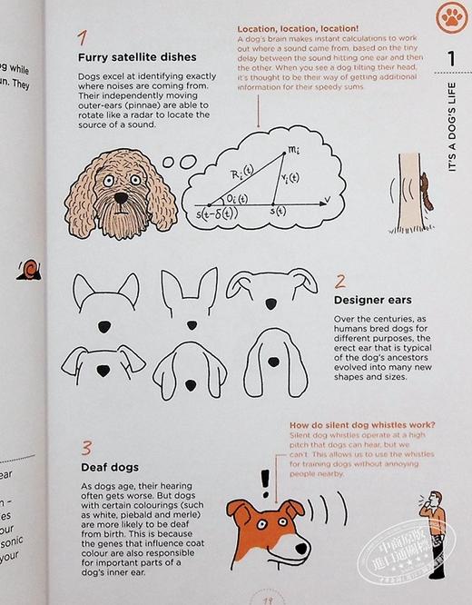 预售 【中商原版】狗狗在想什么 英文原版 What Dogs Want Mat Ward Rupert Fawcett 商品图7