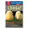 英文原版 Step into Reading 1 - Chicks! 小鸡 儿童绘本 分级阅读 兰登阅读进阶1 英文版 进口英语原版书籍 商品缩略图1