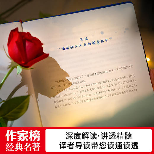 《小王子：拼音美绘版》 商品图3