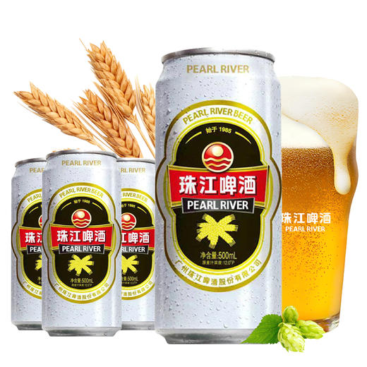 「汪苏泷代言」珠江啤酒经典老珠江500ml*12国产啤酒整箱罐装啤酒易拉罐 商品图3