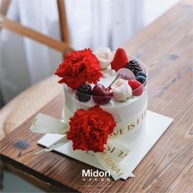 简约康乃馨 | Midori