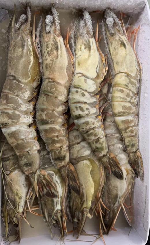 黑虎虾（15-17cm）550G（商） 商品图0