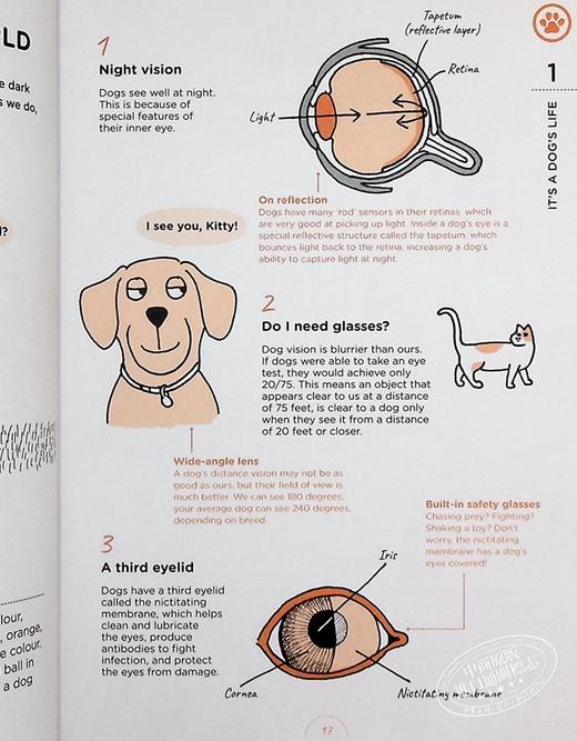 预售 【中商原版】狗狗在想什么 英文原版 What Dogs Want Mat Ward Rupert Fawcett 商品图6