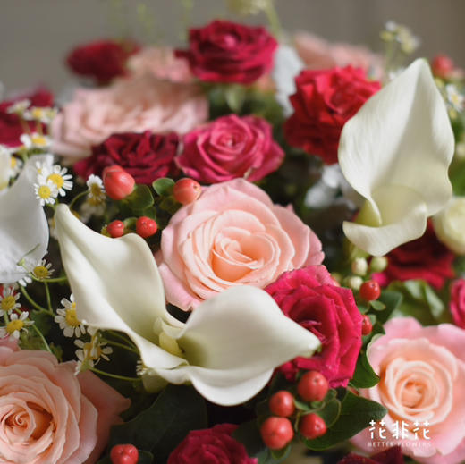 《她的花园》多头紫罗兰玫瑰朱小姐玫瑰蝴蝶兰马蹄莲抱抱桶 商品图3