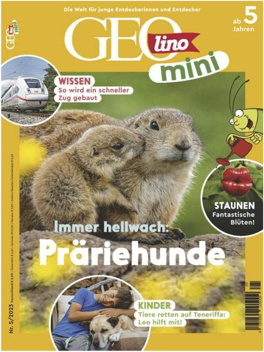 Geomini - 2023.05 商品图0