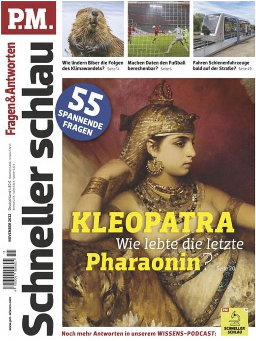 P.M. Fragen & Antworten - 2022.11 商品图0