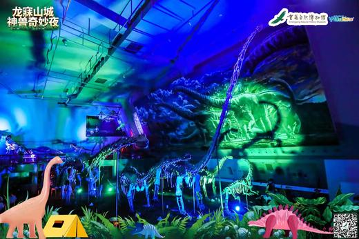 重庆自然博物馆【神兽奇妙夜】——西大附幼专场 商品图0