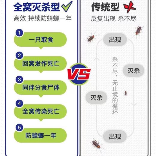 叮叮杀蟑饵剂蟑螂屋 商品图3