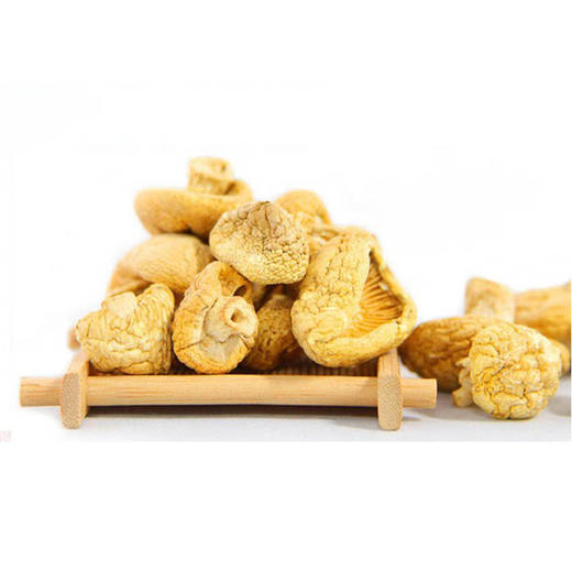 青海祁连黄菇精品礼盒 500g一斤装 全国包邮 祁连山野生黄蘑菇 青海十宝之一 商品图1