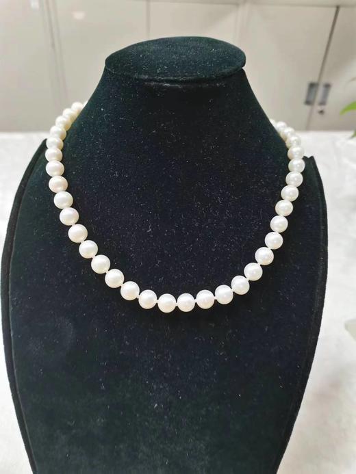 淡水珍珠项链 98520 8.5-9.5mm 商品图1