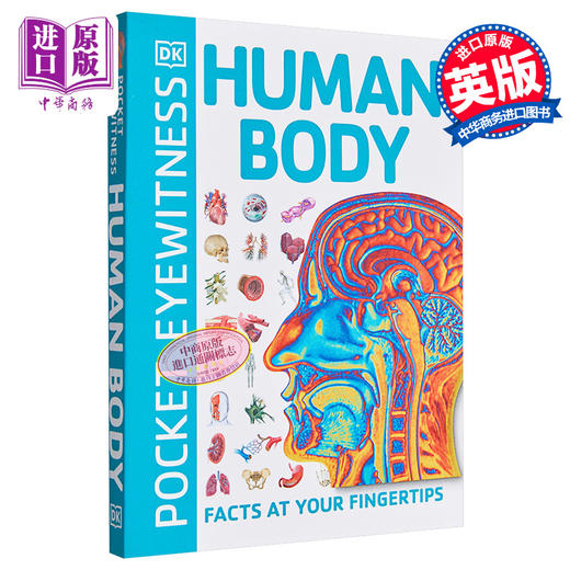 【中商原版】DK目击者口袋系列 人体 英文原版 Pocket Eyewitness:Human Body DK 科学百科 科普 医学 商品图1