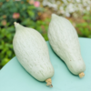 新疆贵族南瓜| 有名头的—新疆贵族南瓜 绿白色的皮，金黄果肉，粉糯香甜，恰似板栗更胜板栗，无论蒸烤煮粥，都有完美的的口感，中午午饭就是你了～ 商品缩略图1