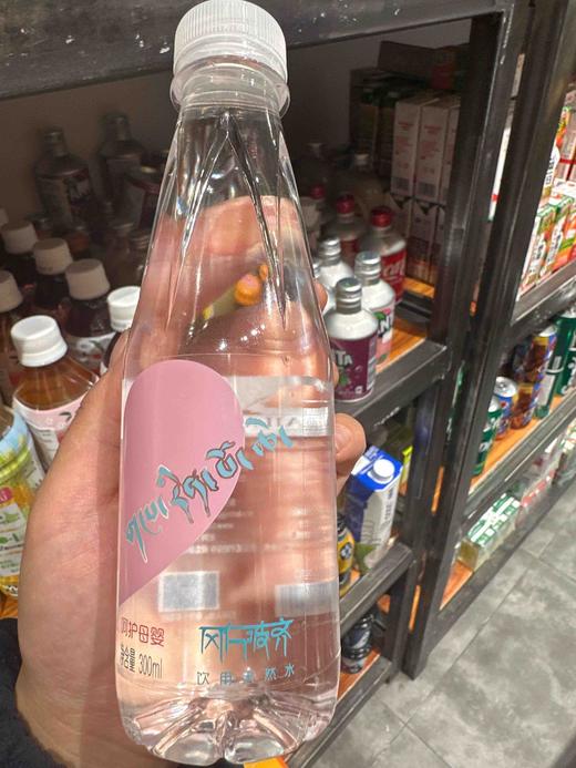 冈仁波齐饮用天然水300ml 商品图0