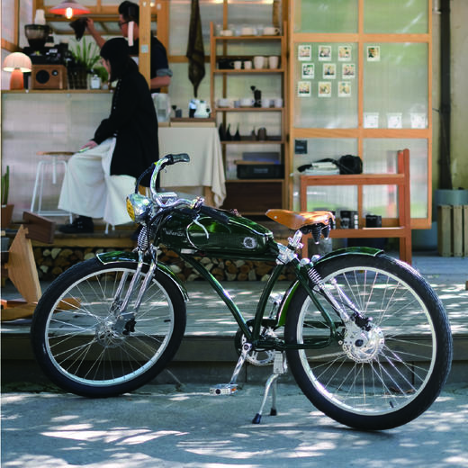 联邦走马｜「波西米亚」电动自行车 全新音乐机车 首发 包邮 商品图1