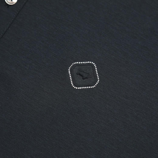 布兰施轻奢商务范绅士POLO衫 商品图4