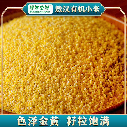 绿色公社敖汉有机小米 黄小米 内蒙古敖汉小米 清香软糯米油厚5kg 商品图1