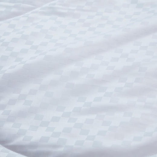 富安娜（FUANNA）印花蚕丝夏被 丽妍 203*229cm 商品图1