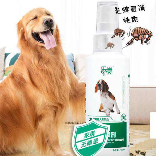 宠物清洁除虱套装（密齿虱梳+体外驱虫喷雾）狗狗清洁工具套装 商品图3