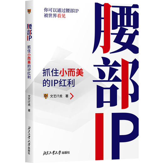 腰部IP 抓住小而美的IP红利 商品图0