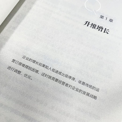 破局盈利 企业如何在逆境中增长 商品图1