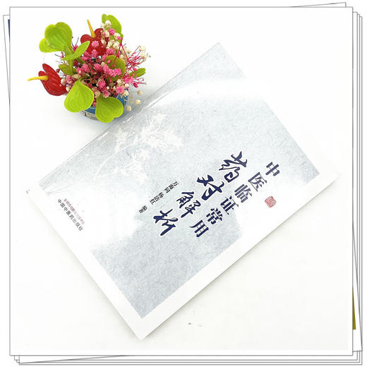 中医临证常用药对解析 万海同 杨洁红 编著 中国中医药出版社 中医临床 书籍 商品图3